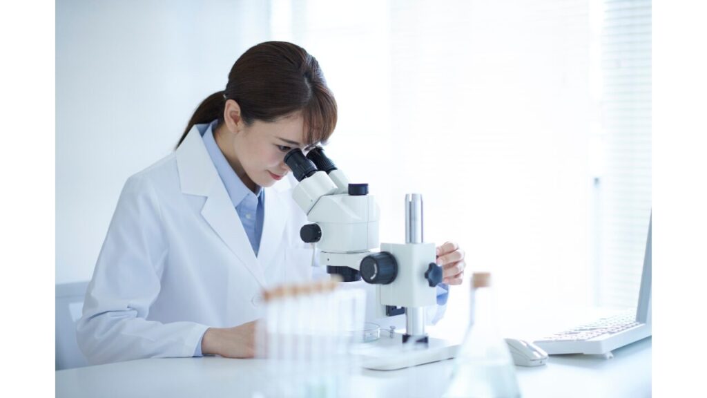 顕微鏡で観察する写真